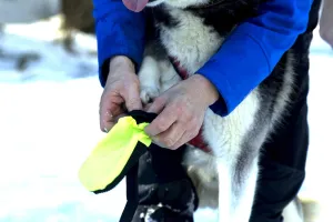 Neewa Snow Dog Boots (X-Large, Yellow)